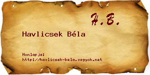 Havlicsek Béla névjegykártya